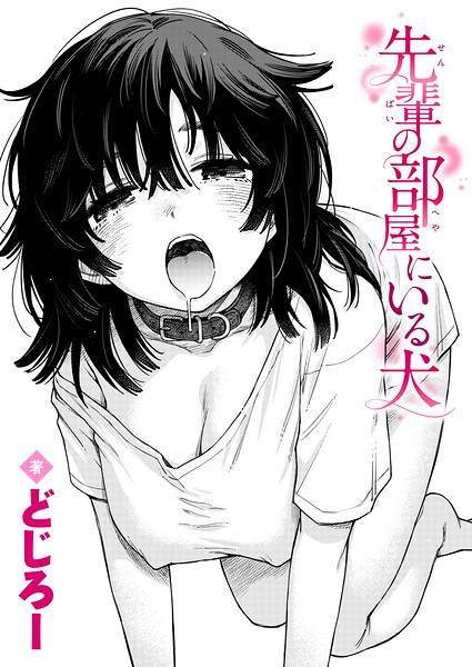 先輩の部屋にいる犬【どじろー】
