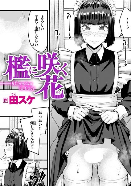 檻に咲く花【田スケ】