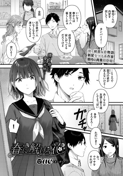 春に解ける花【ae コミックバベル編集部】